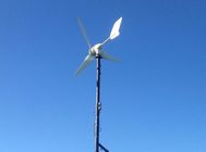 Porcellana 3 vento basso di alta efficienza del generatore eolico di potere del generatore eolico 300W delle lame il piccolo comincia su per la Camera per iluminazione pubblica società